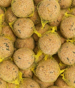 Dehner Natura Premium Wildvogelfutter Insekten-Meisenknödel, mit Netz