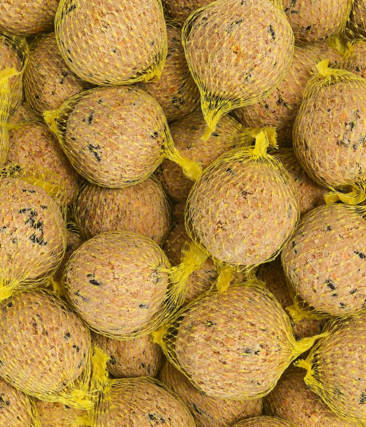 Dehner Natura Premium Wildvogelfutter Insekten-Meisenknödel, mit Netz
