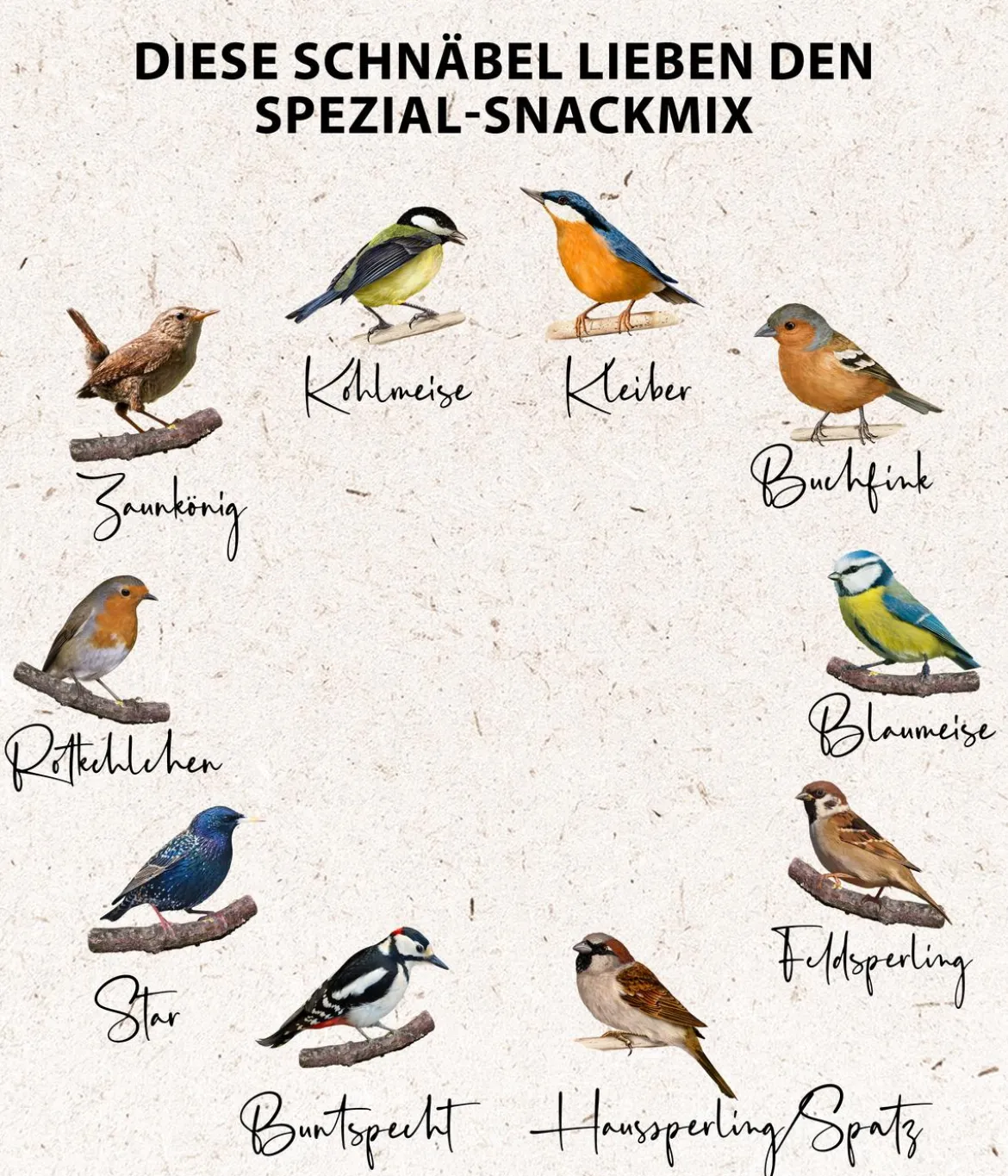 Dehner Natura Premium Wildvogelfutter Spezial-Snackmix, 6-teilig