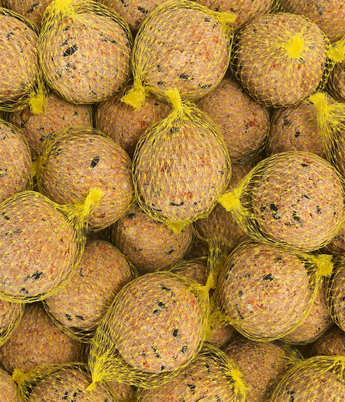 Dehner Natura Premium Wildvogelfutter Beeren-Meisenknödel im Karton, mit Netz, 30 Stk.