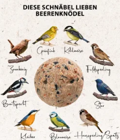 Dehner Natura Premium Wildvogelfutter Beeren-Meisenknödel im Karton, mit Netz, 30 Stk.