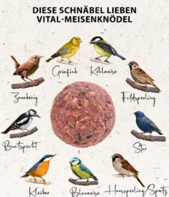 Dehner Natura Premium Wildvogelfutter Vital-Meisenknödel, Landlust Kollektion, im Eimer, ohne Netz, 30 Stk.