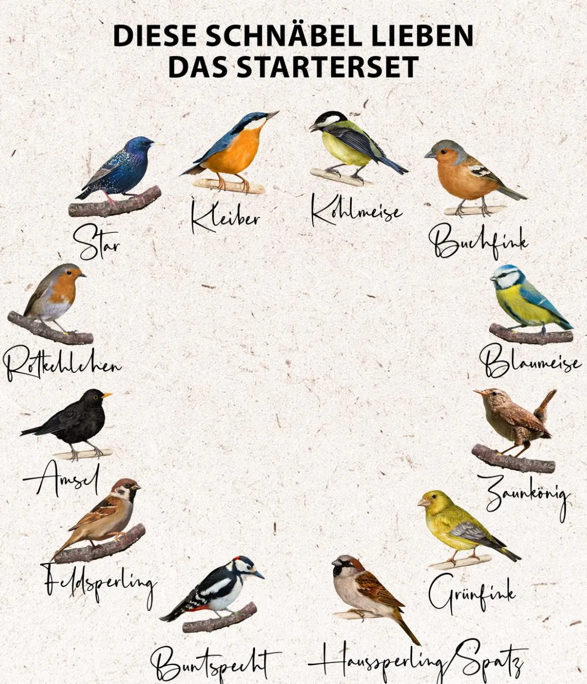Dehner Natura Premium Wildvogelfutter Starterset, 7-teilig