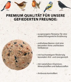 Dehner Natura Premium Wildvogelfutter Beeren-Meisenknödel, mit Netz, 6 Stk.