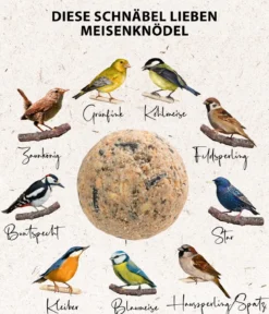 Dehner Natura Premium Wildvogelfutter Kraft-Meisenknödel im Eimer, mit Netz, 30 Stk.