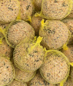 Dehner Natura Premium Wildvogelfutter Kraft-Meisenknödel im Eimer, mit Netz, 30 Stk.