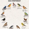 Dehner Natura Premium Wildvogelfutter Starterset, 8-teilig