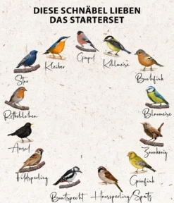 Dehner Natura Premium Wildvogelfutter Starterset, 8-teilig