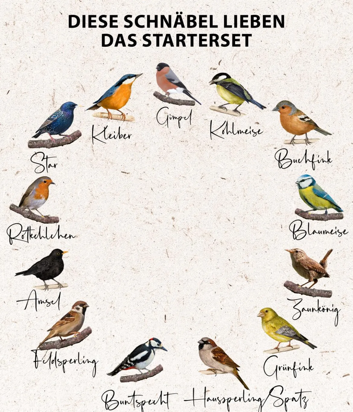 Dehner Natura Premium Wildvogelfutter Starterset, 8-teilig