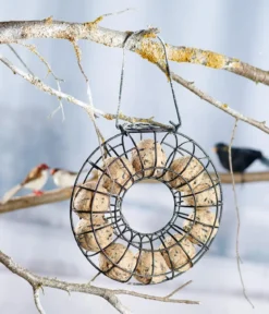 Dehner Natura Premium Wildvogelfutter-Set, Meisenknödel & Weichfutter, 2-teilig