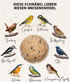 Dehner Natura Premium Wildvogelfutter Riesen-Meisenknödel, mit Netz