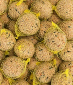 Dehner Natura Premium Wildvogelfutter Meisenknödel im Karton, mit Netz