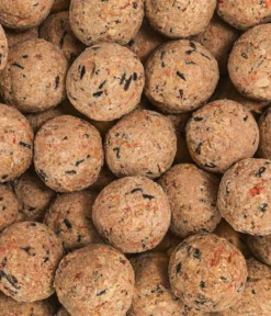 Dehner Natura Premium Wildvogelfutter Beeren-Meisenknödel im Karton, ohne Netz, 100 Stk.