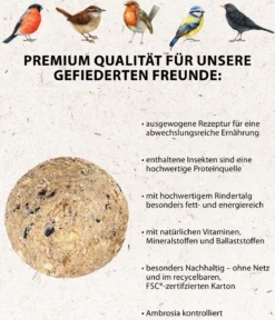 Dehner Natura Premium Wildvogelfutter Insekten-Meisenknödel im Karton, ohne Netz, 100 Stk.