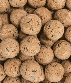 Dehner Natura Premium Wildvogelfutter Insekten-Meisenknödel im Karton, ohne Netz, 100 Stk.