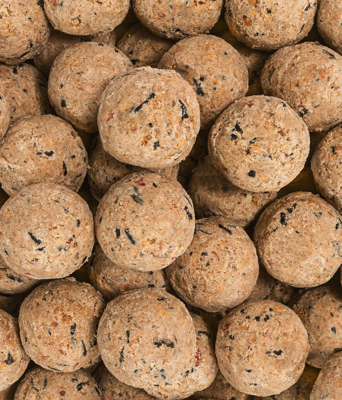 Dehner Natura Premium Wildvogelfutter Insekten-Meisenknödel im Karton, ohne Netz, 100 Stk.