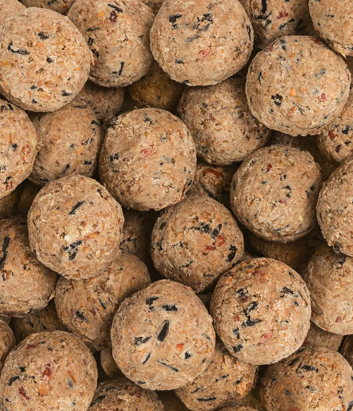 Dehner Natura Premium Wildvogelfutter Meisenknödel im Karton, ohne Netz