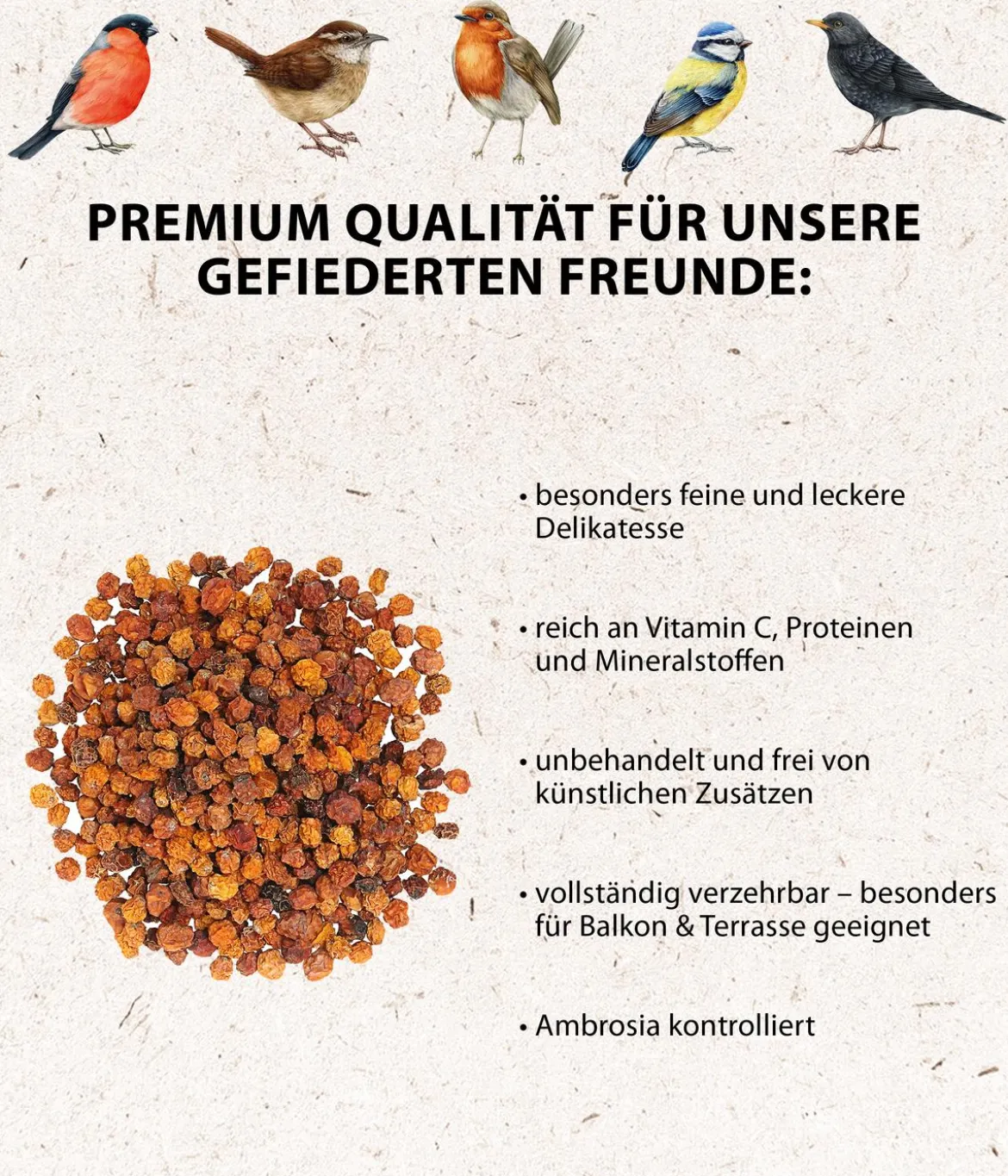 Dehner Natura Premium Wildvogelfutter Ebereschenbeeren, 350 g