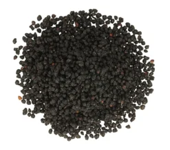 Dehner Natura Premium Wildvogel Ganzjahresfutter Holunderbeeren, 450 g