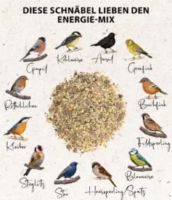 Dehner Natura Premium Wildvogelfutter Ganzjahresfutter Energie-Mix, 900 g