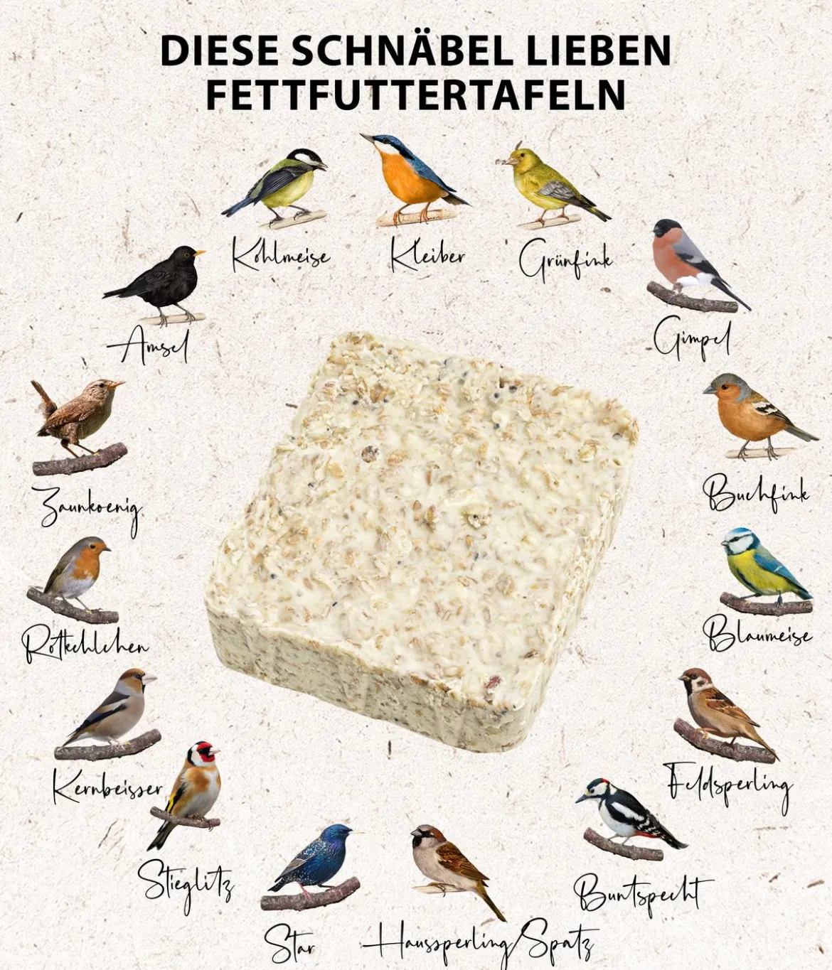 Dehner Natura Premium Wildvogel Futtertafel mit Erdnüssen, 12x300 g