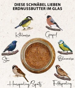 Dehner Natura Premium Wildvogelfutter Erdnussbutter im Glas, Haselnuss, 8 x 340 g