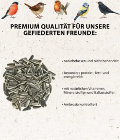 Dehner Natura Premium Wildvogelfutter Sonnenblumenkerne, 5 l
