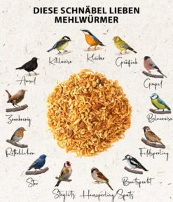 Dehner Natura Premium Wildvogelfutter Protein-Mix, 500 g