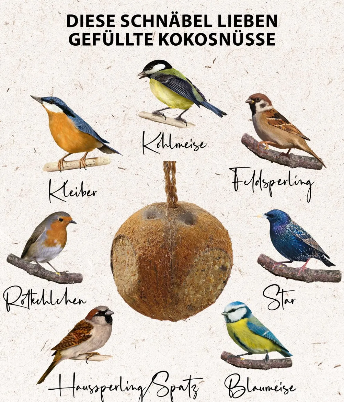 Dehner Natura Premium Wildvogel Kokosnuss mit Fettfuttermischung