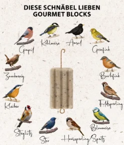 Dehner Natura Premium Wildvogelfutter Gourmet Blocks mit Mehlwürmern, 6 Stk á ca. 90 g