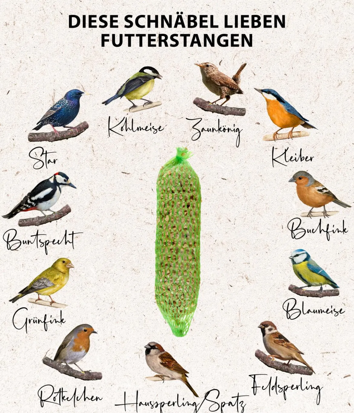 Dehner Natura Premium Wildvogelfutter Gourmet-Stangen mit Sonnenblumenkernen, 200 g