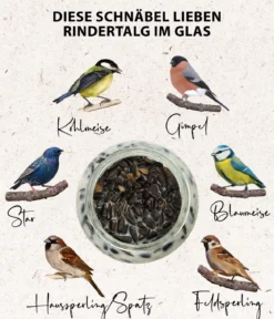 Dehner Natura Premium Wildvogelfutter Rindertalg im Glas, Sonnenblumenkerne, 8 x 250 g