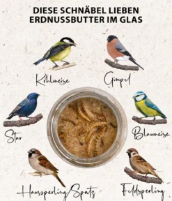 Dehner Natura Premium Wildvogelfutter Erdnussbutter im Glas, 3 x 2 Stk.