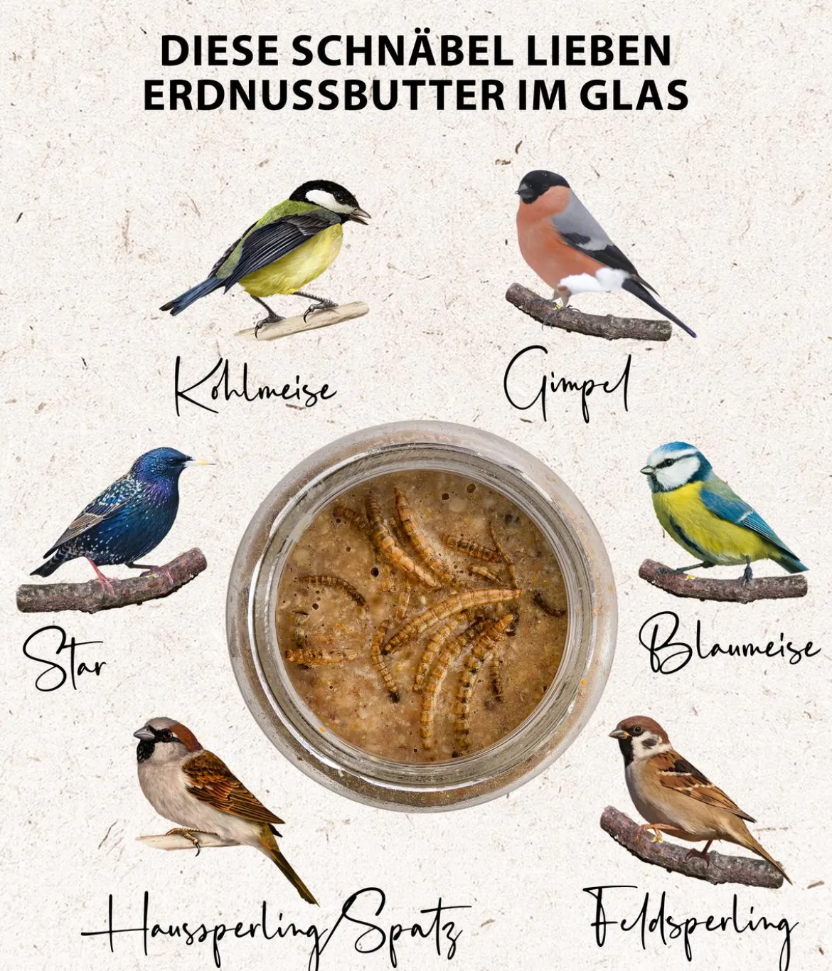 Dehner Natura Premium Wildvogelfutter Erdnussbutter im Glas, 3 x 2 Stk.