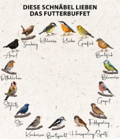 Dehner Natura Premium Wildvogelfutter Futterbuffet Maxi, 8-teilig