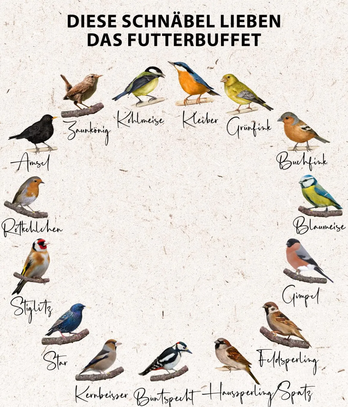 Dehner Natura Premium Wildvogelfutter Futterbuffet Maxi, 8-teilig