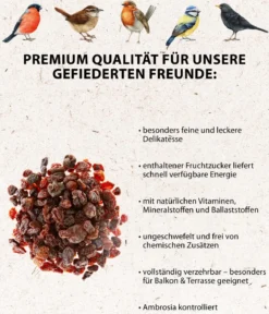 Dehner Natura Premium Wildvogelfutter Rosinen