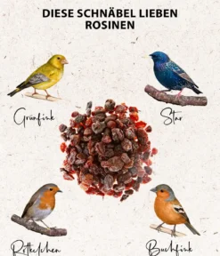 Dehner Natura Premium Wildvogelfutter Rosinen