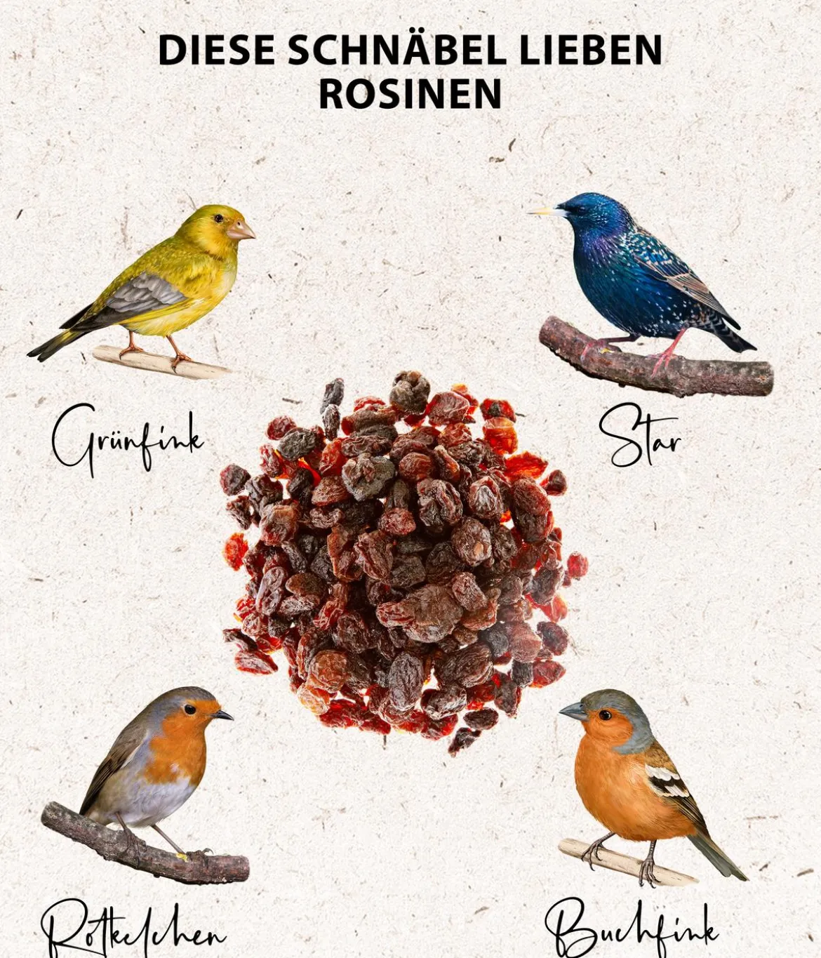 Dehner Natura Premium Wildvogelfutter Rosinen