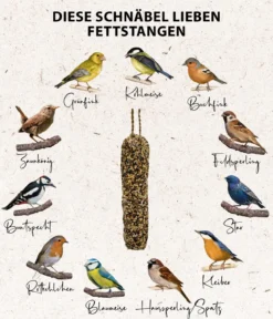 Dehner Natura Premium Wildvogelfutter Gourmet-Snackstange mit feinen Saaten, 200 g