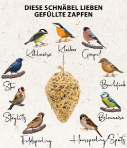Dehner Natura Premium Wildvogelfutter Pinienzapfen