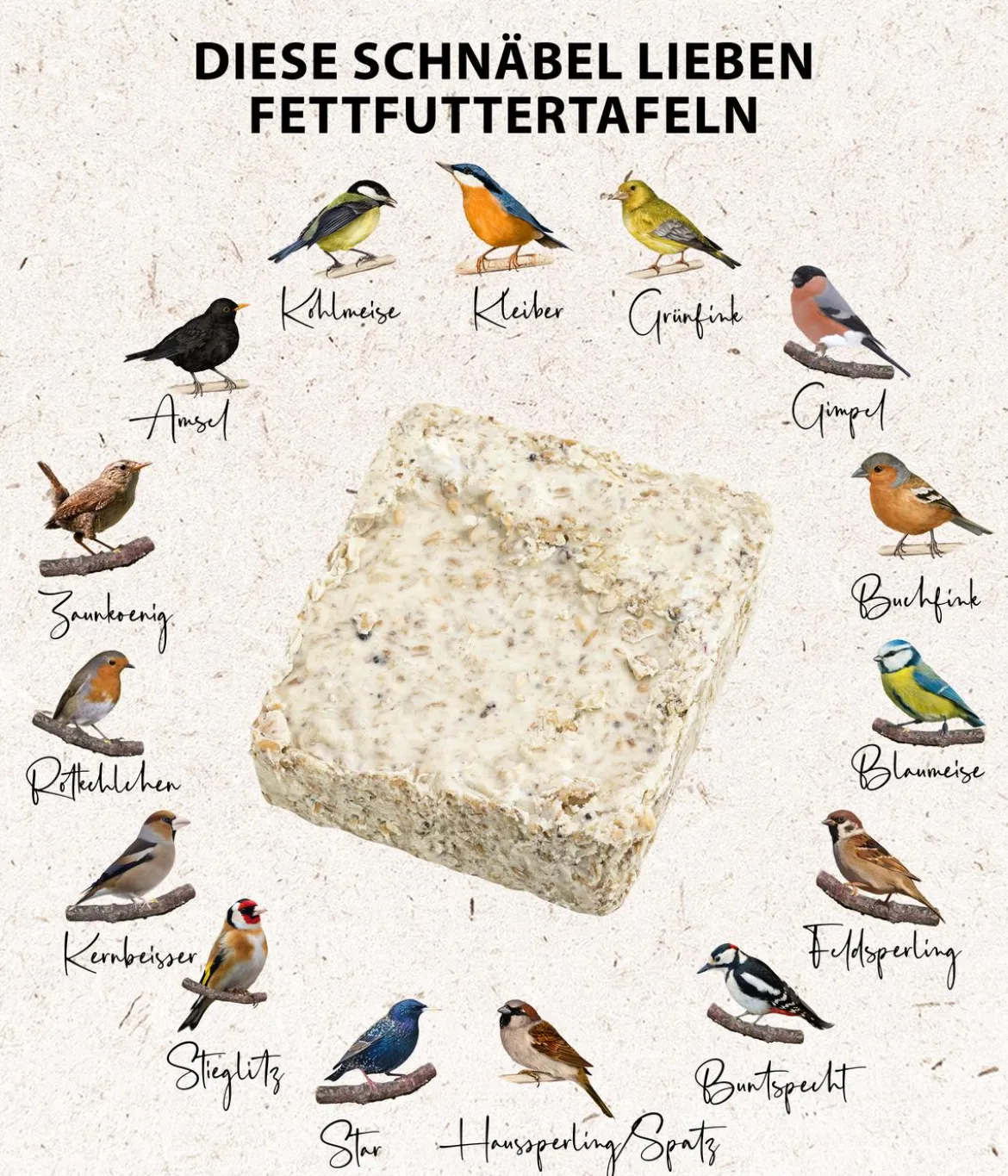 Dehner Natura Premium Wildvogelfutter Futtertafel mit Insekten, 12x300 g