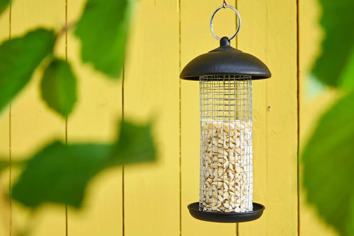 Dehner Natura Premium Wildvogelfutter Gehackte Erdnüsse im Eimer, 5 l