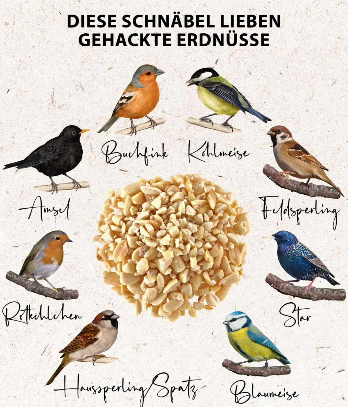 Dehner Natura Premium Wildvogelfutter Gehackte Erdnüsse im Eimer, 5 l