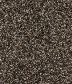 Dehner Natura Premium Wildvogelfutter Sonnenblumenkerne