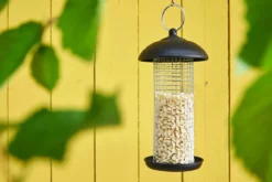 Dehner Natura Premium Wildvogelfutter Gehackte Erdnüsse