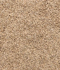 Dehner Natura Premium Wildvogelfutter Geschälte Sonnenblumenkerne