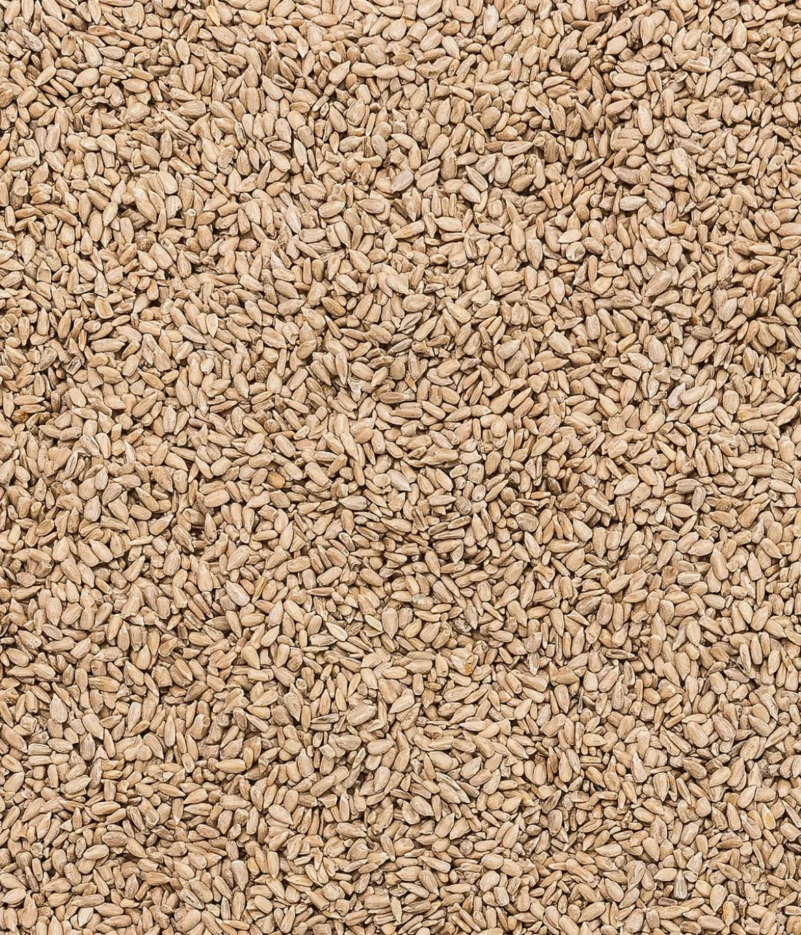 Dehner Natura Premium Wildvogelfutter Geschälte Sonnenblumenkerne