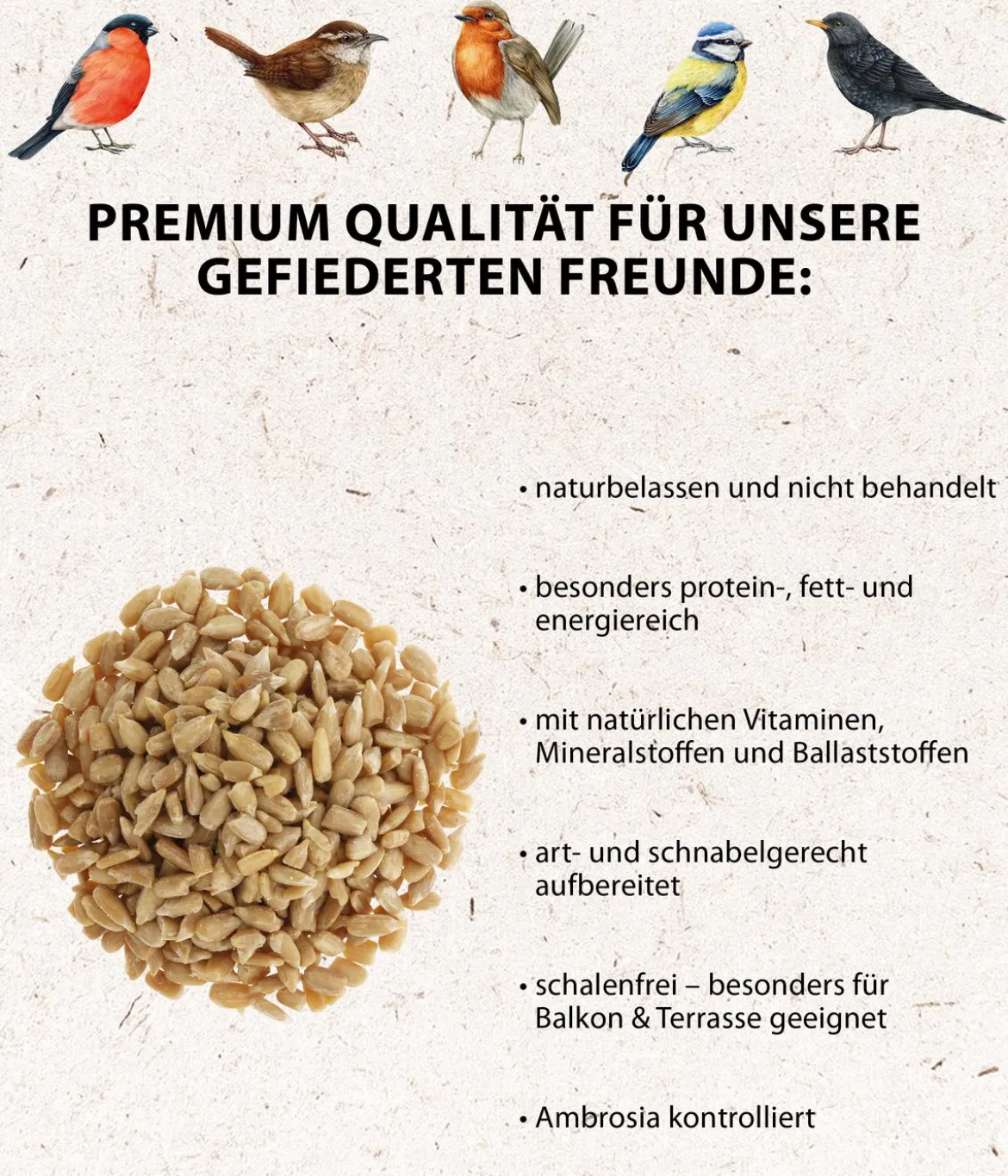 Dehner Natura Premium Wildvogelfutter Geschälte Sonnenblumenkerne
