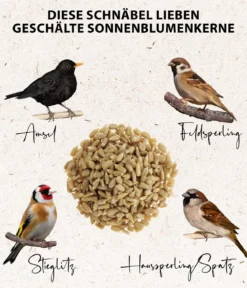 Dehner Natura Premium Wildvogelfutter Geschälte Sonnenblumenkerne